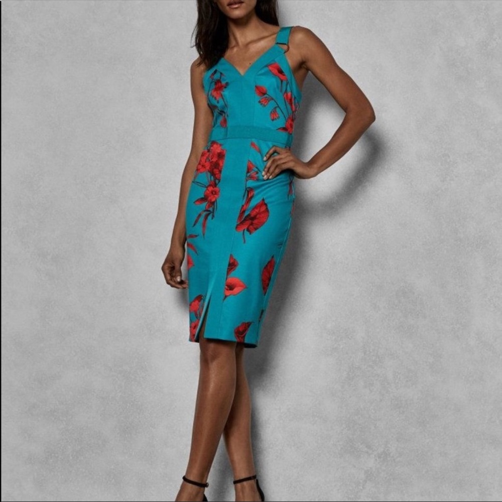 Stunning Ted Baker Dress